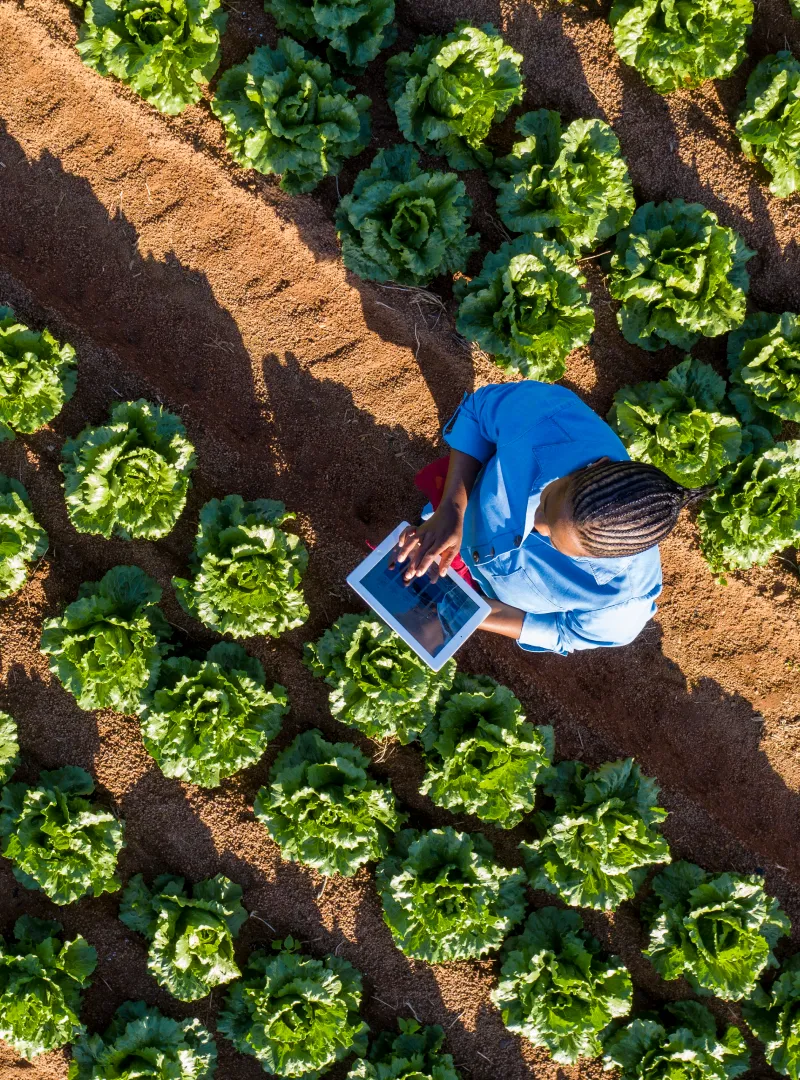 service farming app image