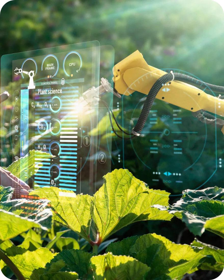 vision card background image